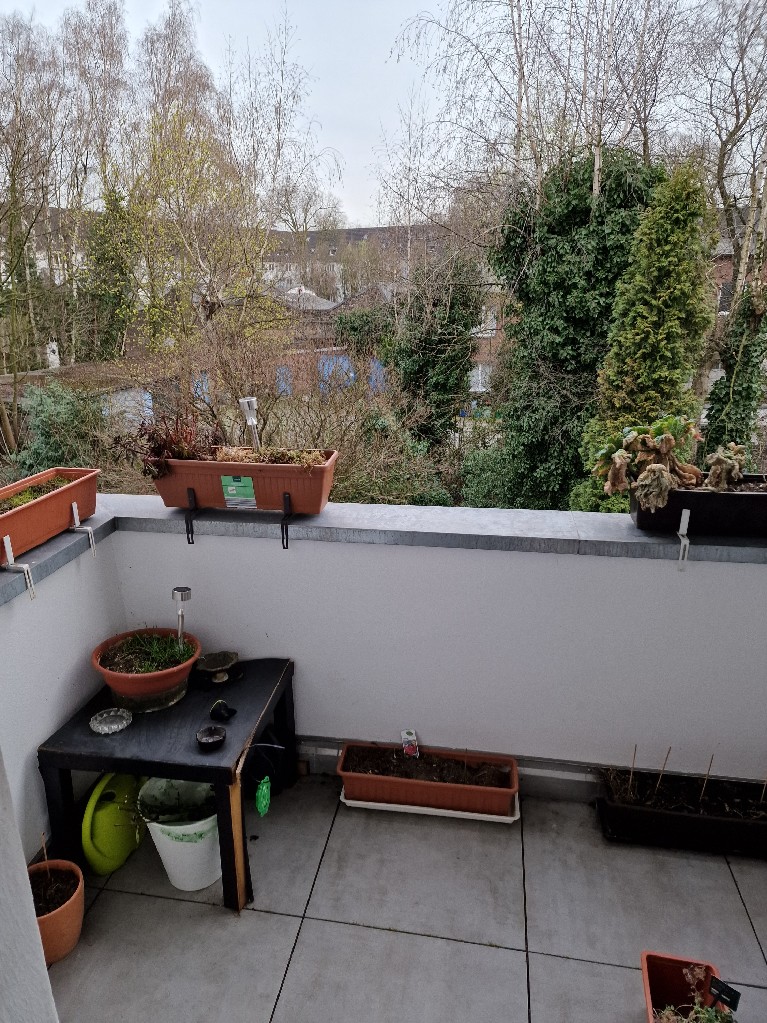  Etagenwohnung Duisburg