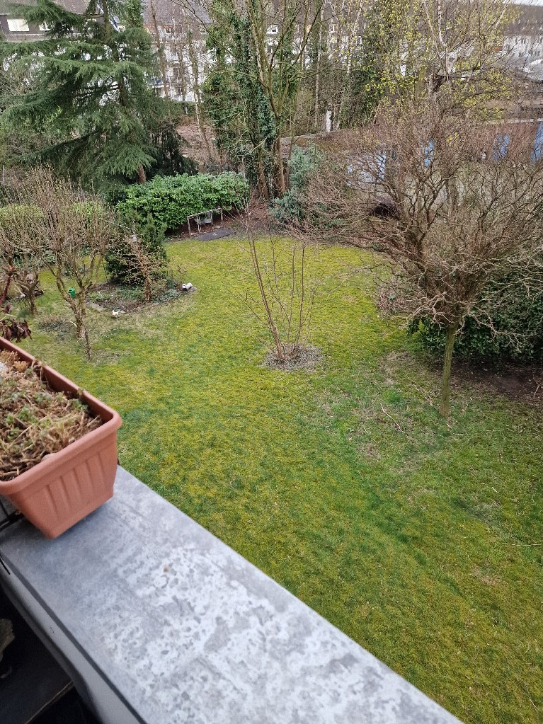  Etagenwohnung Duisburg